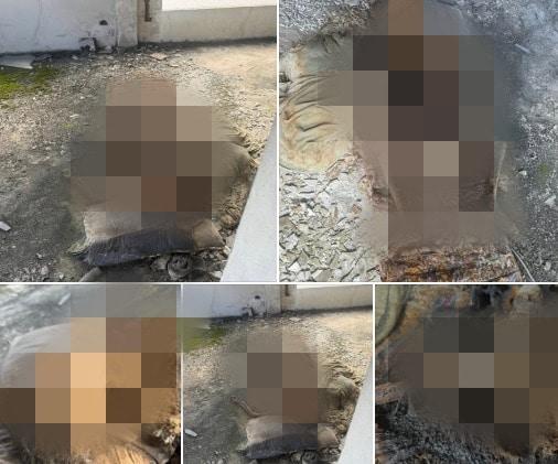 본문 이미지 - 태국 방콕에서 분실됐다가 회수한 휴대전화에서 발견된 백골 시신 사진. (사진=쿵 나타폰 Kff 페이스북 게시물 갈무리)