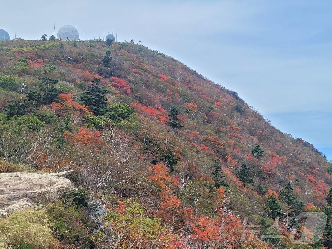 본문 이미지 - 설악산 고지대를 중심으로 가을 단풍이 시작됐다. 지난 9월 30일 설악산국립공원 중청대피소와 소청봉에서 바라본 설악산의 산림의 푸름이 점점 알록달록하게 변하고 있다. 산림 50%가 물드는 단풍 절정기는 이달 말쯤 나타날 것으로 예상된다.&#40;설악산국립공원사무소 제공, 재판매 및 DB 금지&#41; 2025.10.1/뉴스1 ⓒ News1 윤왕근 기자