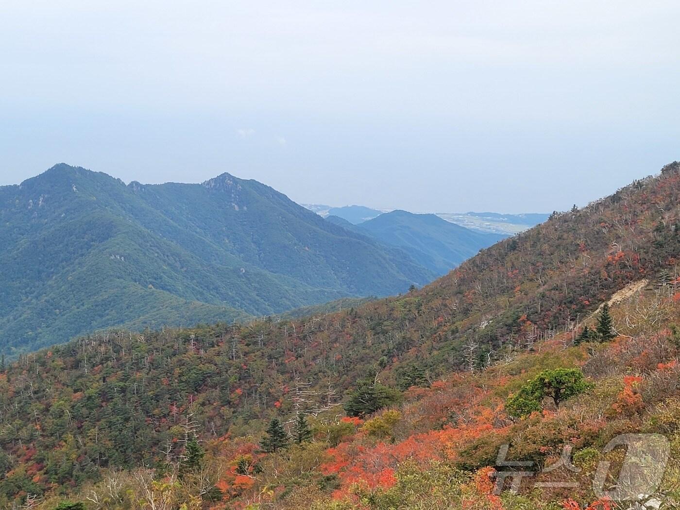 본문 이미지 - 지난 9월 30일 강원 설악산국립공원 중청대피소와 소청봉에서 바라본 모습. &#40;재판매 및 DB 금지&#41; 2025.10.1/뉴스1