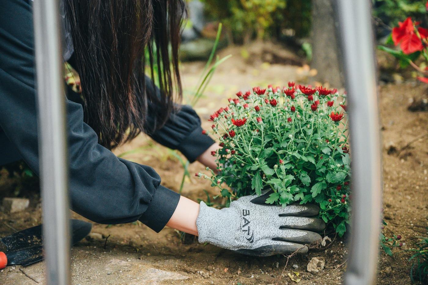 쓰레기 줍고 꽃 심고…직원이 주도하는 BAT로스만스의 착한 캠페인.&#40;BAT로스만스 제공&#41;
