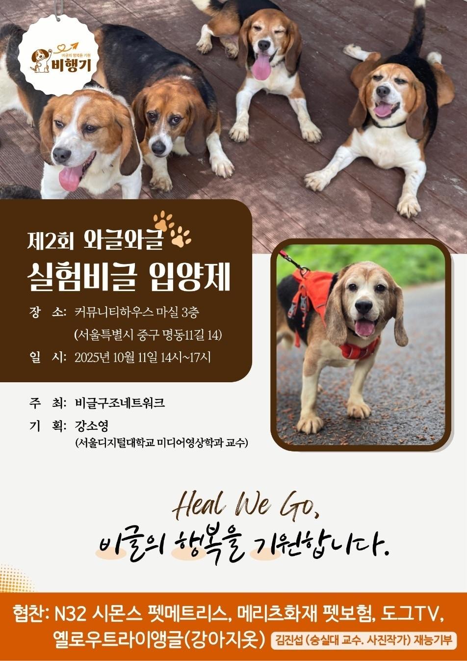 본문 이미지 - 10월 11일 서울 중구 명동 커뮤니티 마실에서 제2회 &#39;실험 비글 와글와글 입양제&#40;비행기 입양제&#41;&#39;가 열린다&#40;비글구조네트워크 제공&#41;. ⓒ 뉴스1