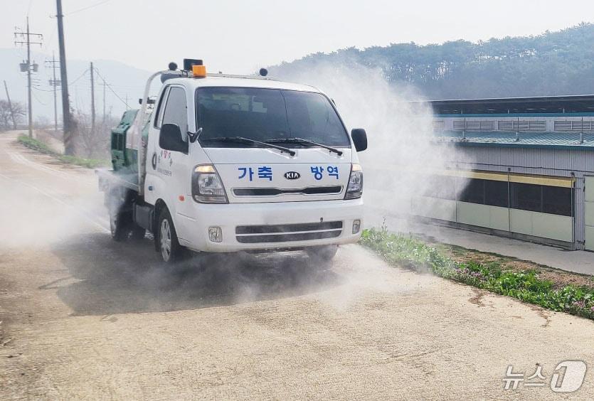 본문 이미지 - 조류인플루엔자 방역.&#40;광주시 제공&#41; ⓒ News1 박준배 기자