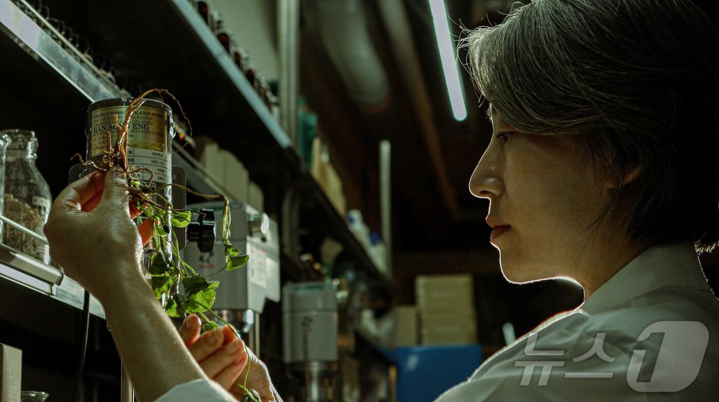 정마리아 대표 &#40;전남도 제공. 재판매 및 DB금지&#41; /뉴스1 