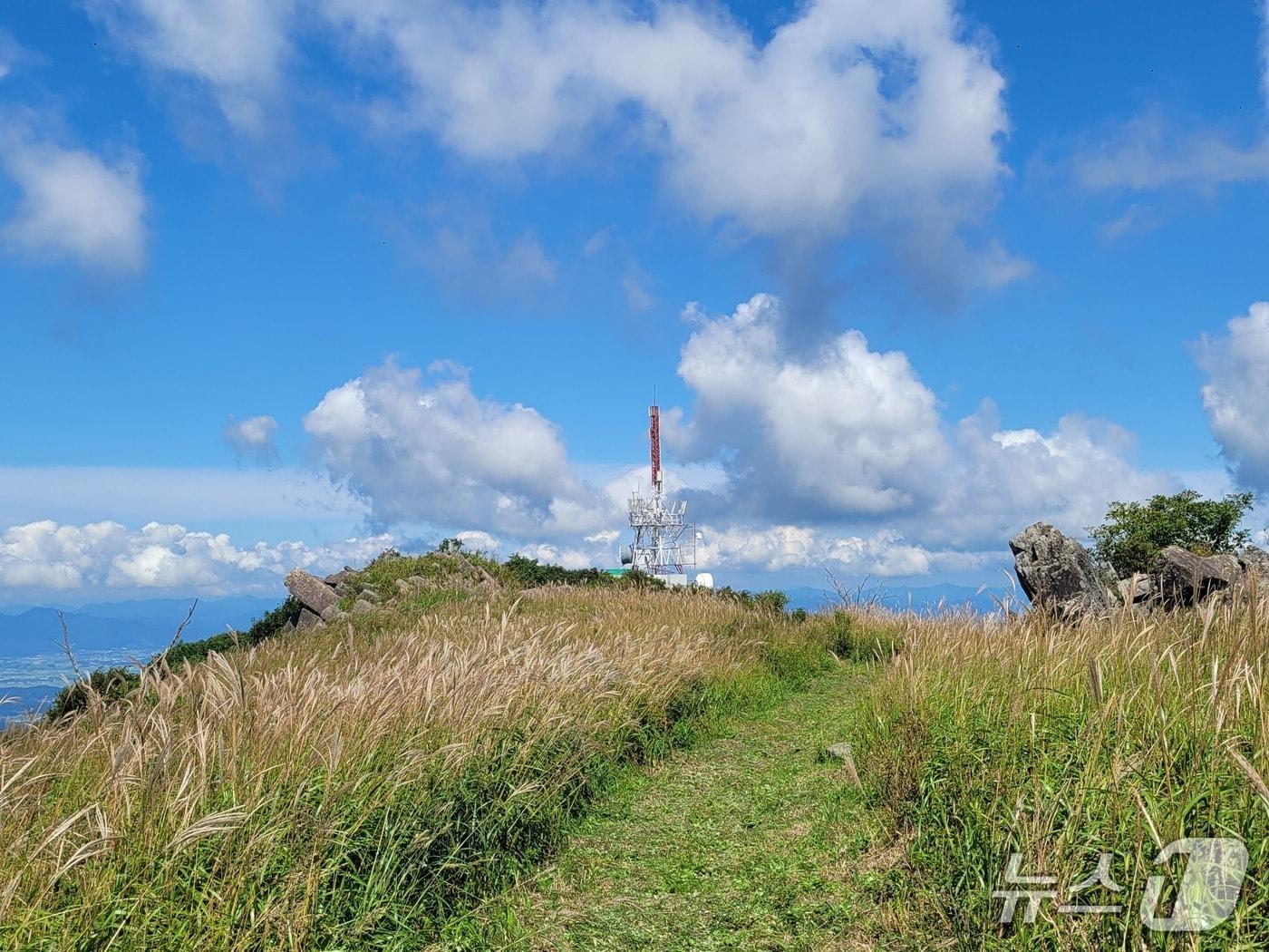 본문 이미지 - 무등산 누에봉 억새군락지.(국립공원공단 무등산국립공원동부사무소 제공. 재판매 및 DB 금지