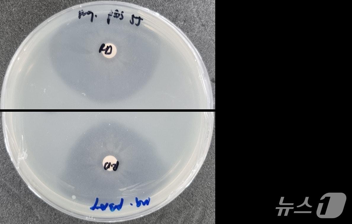 본문 이미지 - (기후부 제공) ⓒ 뉴스1