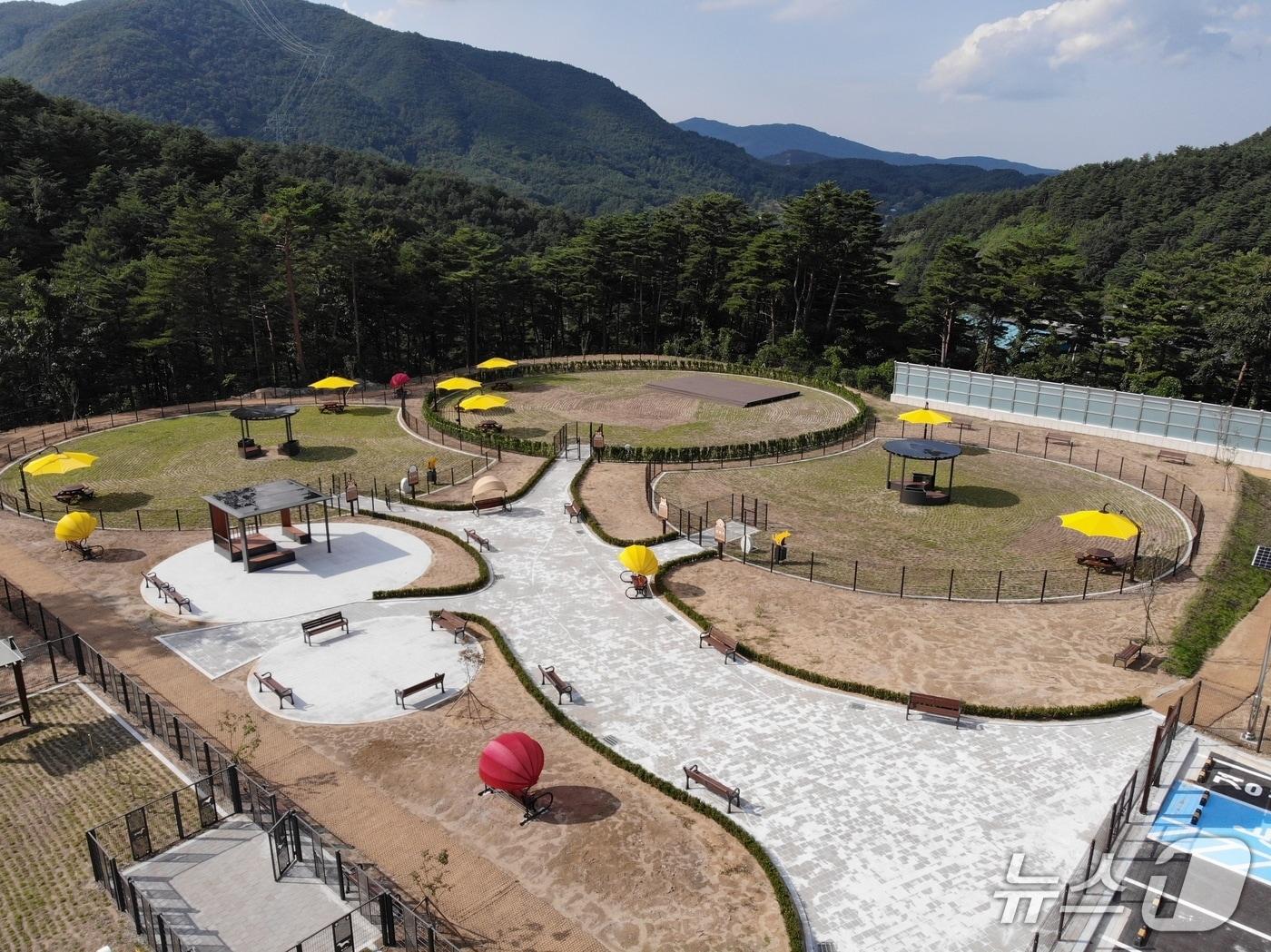 본문 이미지 - 강릉시 펫파크 준공.&#40;강릉시 제공, 재판매 및 DB 금지&#41; 2025.10.10/뉴스1