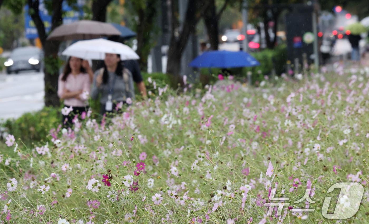 &lt;자료사진&gt; 2025.10.10/뉴스1 ⓒ News1 김영운 기자