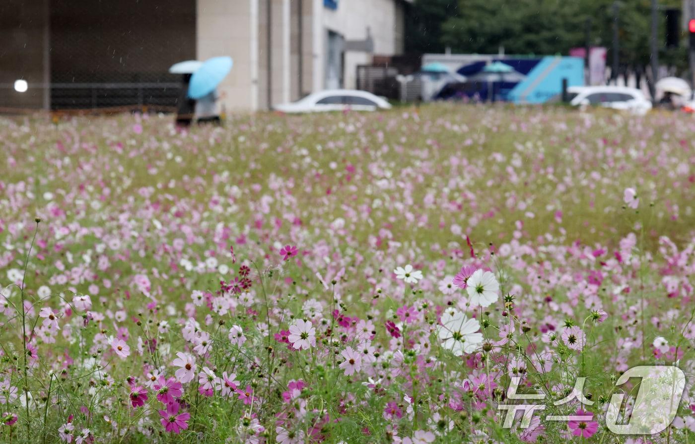 &lt;자료사진&gt; 2025.10.10/뉴스1 ⓒ News1 김영운 기자