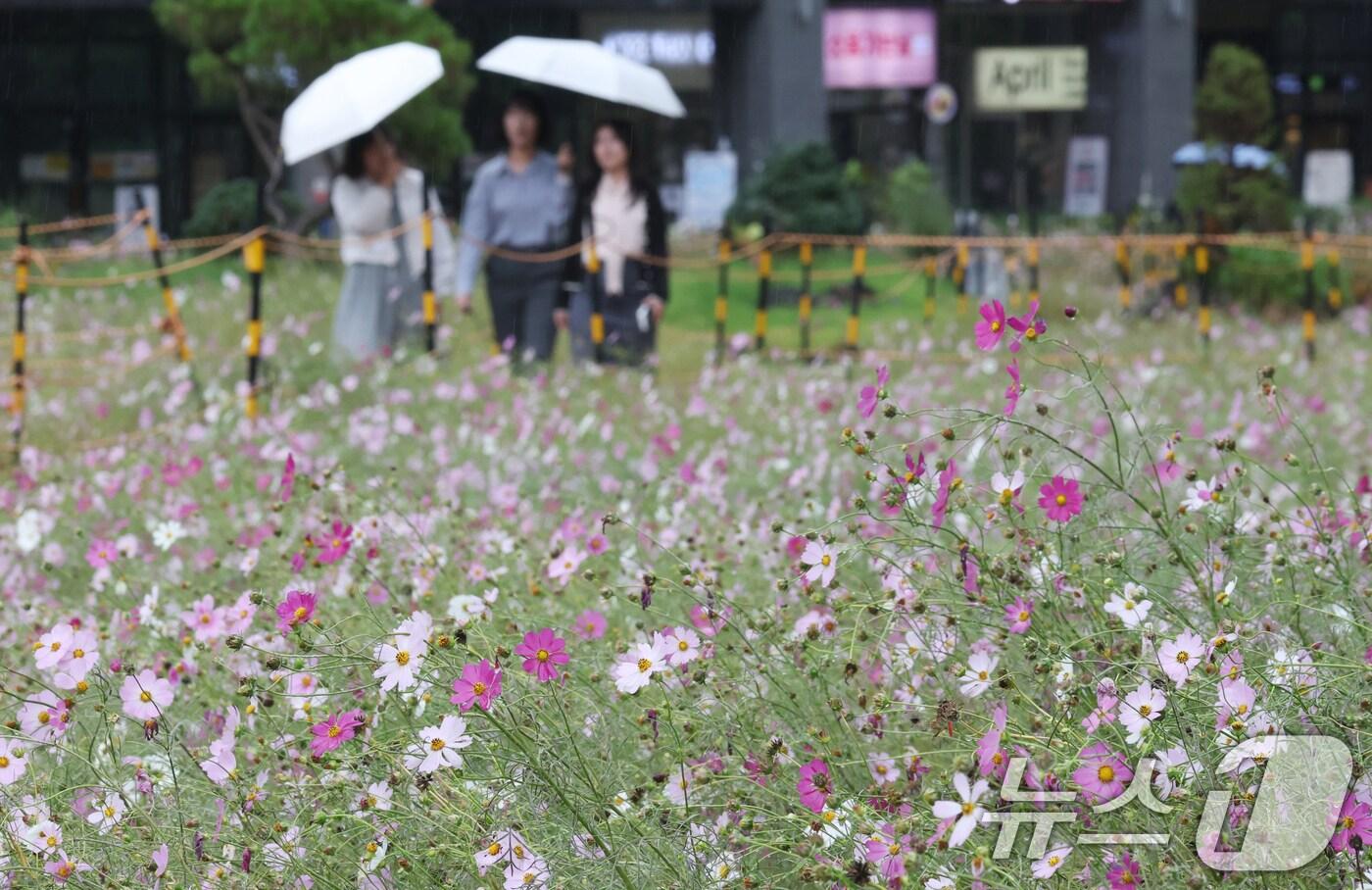가을비가 내리는 날  시민들이 우산을 쓰고 지나가고 있다. 2025.10.10/뉴스1 ⓒ News1 김영운 기자
