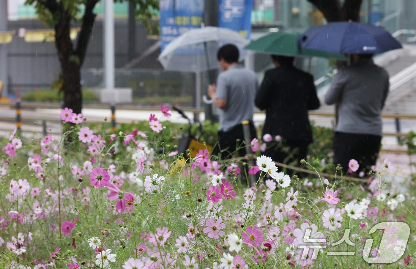 수도권 곳곳에 가을비가 내린 지난 10일 경기 수원시 영통구 경기도청 인근에서 시민들이 우산을 쓰고 지나가고 있다. 2025.10.10/뉴스1 ⓒ News1 김영운 기자
