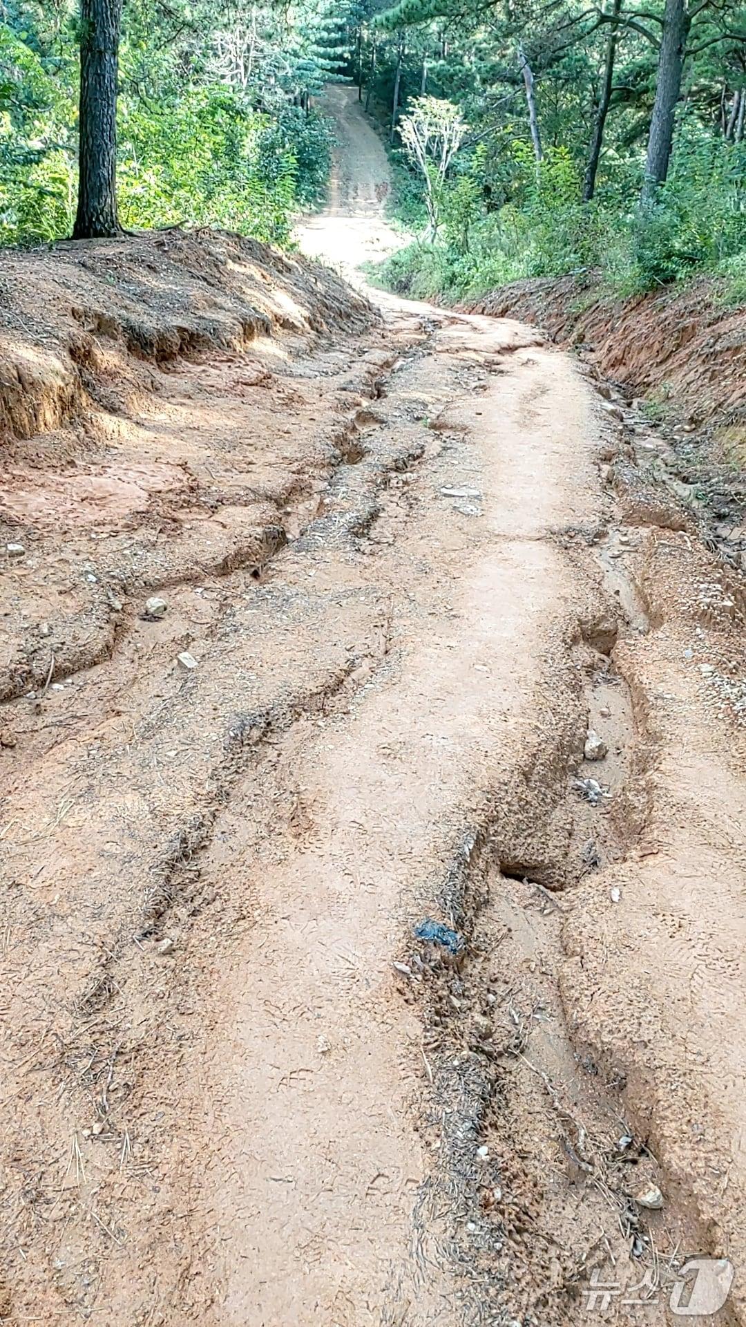 본문 이미지 - 광주 남구 주월동 짚봉산 등산로 100m 일대가 훼손된 모습.&#40;독자 제공. 재판매 및 DB 금지&#41;