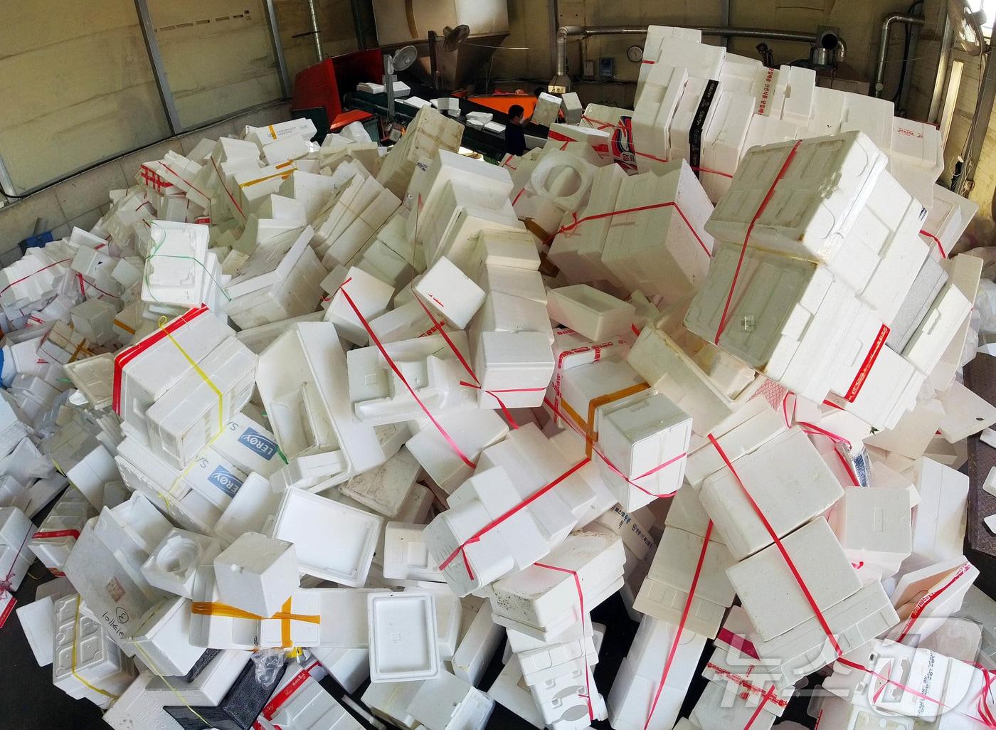 본문 이미지 -  ⓒ 뉴스1 박지현 기자