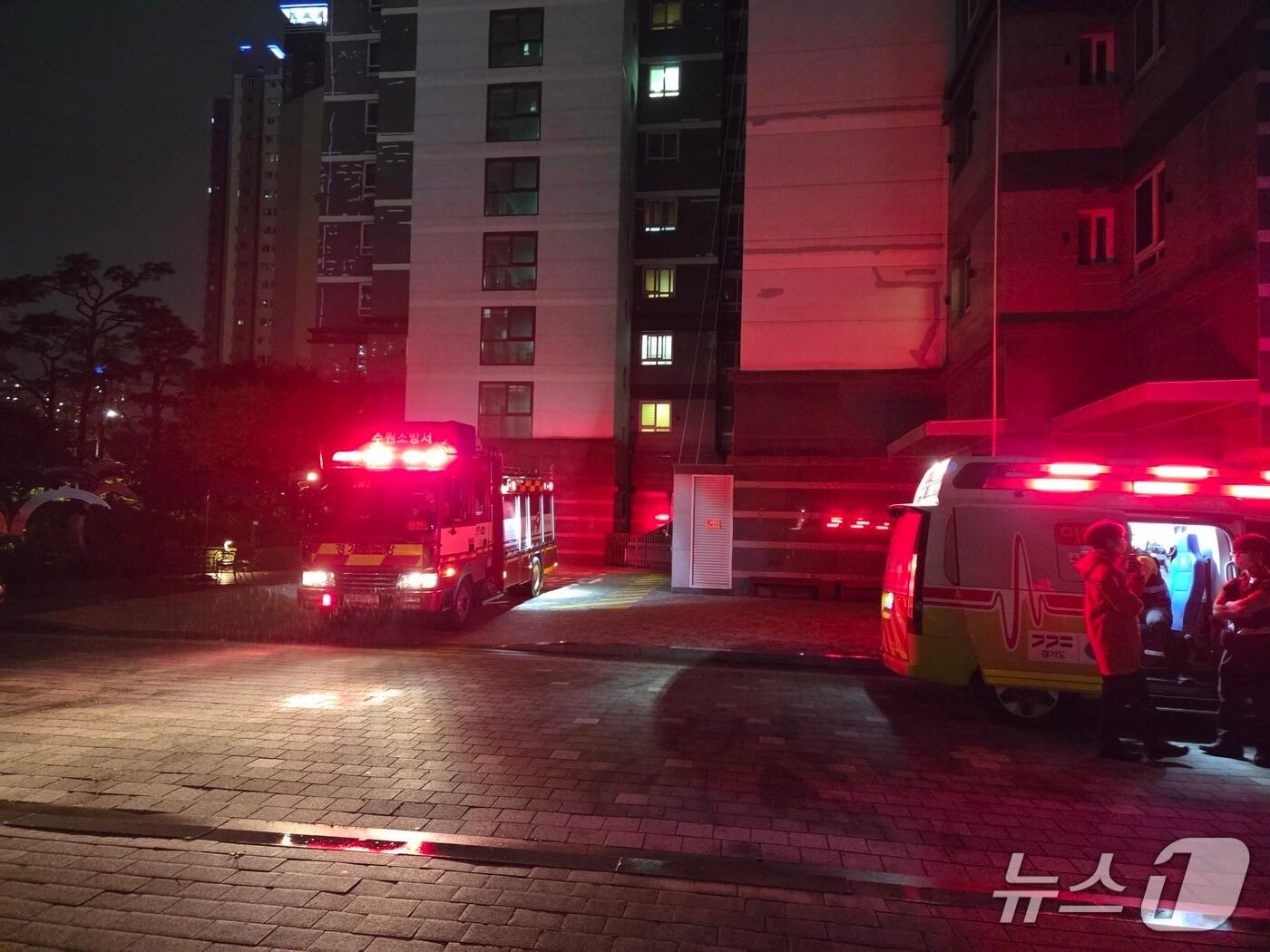 본문 이미지 - &#40;독자 제공. 재판매 및 DB금지&#41;