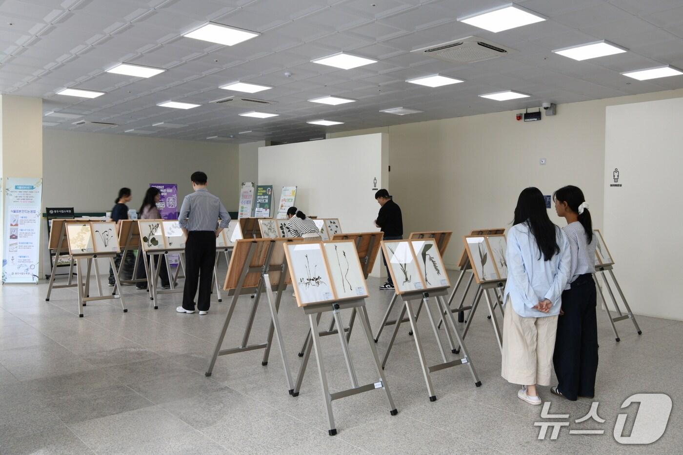 희귀특산 식물표본 전시.&#40;전남도 제공. 재판매 및 DB금지&#41;2025.10.11/뉴스1