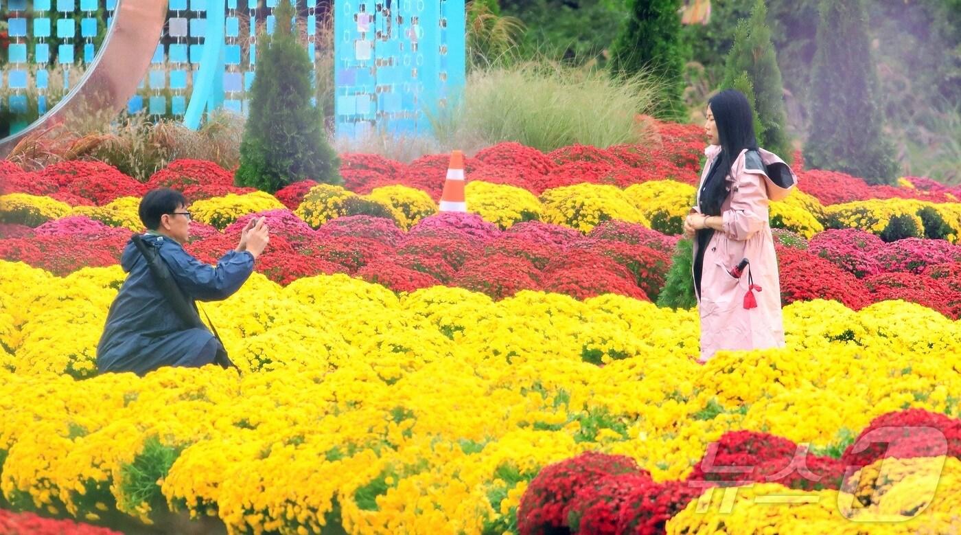 지난 11일 강원 인제 북면 용대리 일원에서 열리는 가을꽃 축제장을 찾은 관광객들이 우산을 쓰고 가을 정취를 만끽하고 있다. 지난달 27일 개막한 축제는 ‘인제에서 꽃길만 걷자’를 주제로 오는 19일까지 이어진다. &#40;인제군 제공. 재판매 및 DB 금지&#41; 2025.10.11/뉴스1 ⓒ News1 한귀섭 기자