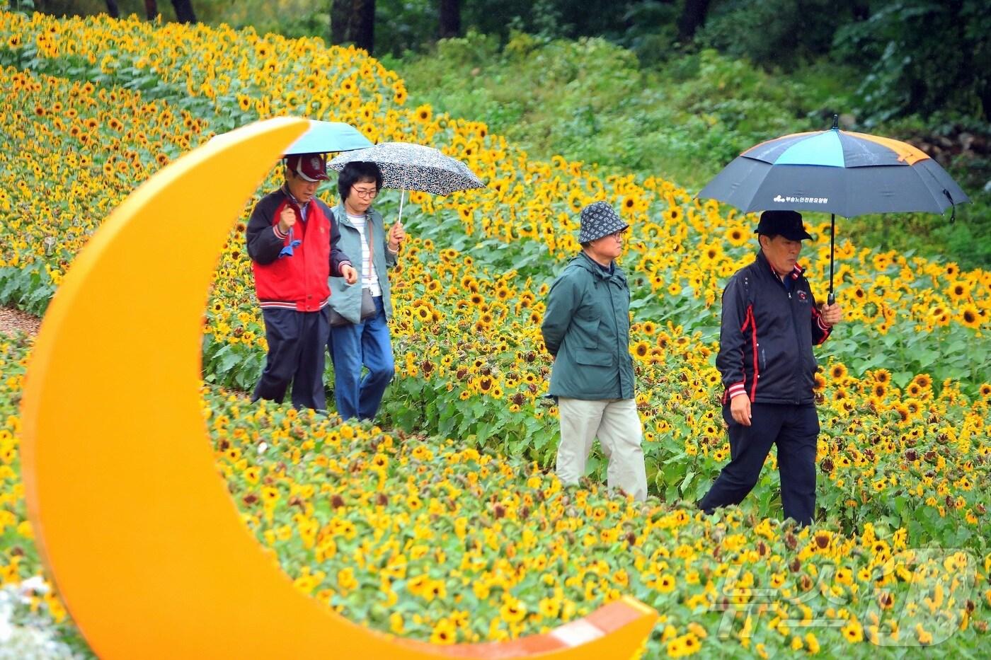 자료사진/뉴스1