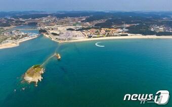 본문 이미지 - 안면도 꽃지해수욕장 전경 /뉴스1