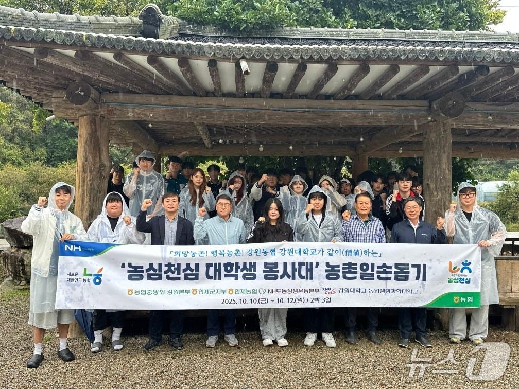 본문 이미지 - 농심 천심 수확철 맞이 농촌일손돕기.&#40;농협 강원본부 제공. 재판매 및 DB금지&#41;/뉴스1