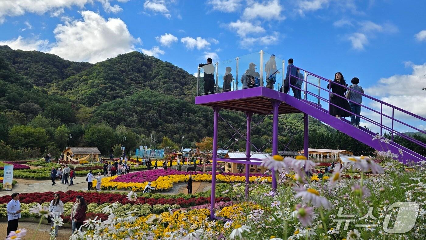 2025 가을꽃 축제.&#40;인제군 제공. 재판매 및 DB금지&#41;/뉴스1