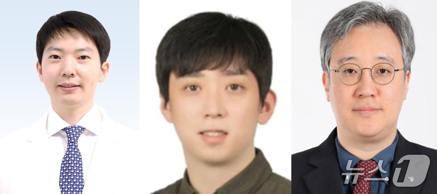 20·30대 지방간질환 환자의 50세 이전 조기 암 발병 위험이 일반인보다 20%가량 높다는 연구 결과가 나왔다. 왼쪽부터 문준호 분당서울대병원 교수, 정석송 고려대 의대 교수, 김원 서울특별시보라매병원 교수.&#40;분당서울대병원 제공. 재판매 및 DB금지&#41;/뉴스1