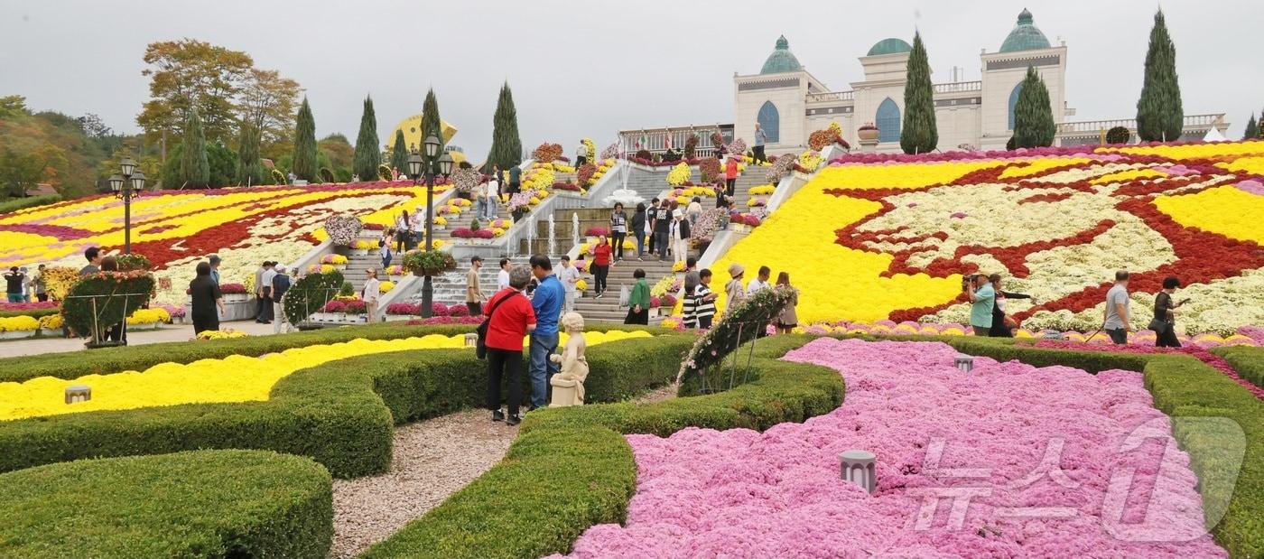 전북 임실군 임실치즈테마파크에서 열린 &#39;2025임실N치즈축제&#39;.&#40;임실군청 제공. 재판매 및 DB 금지&#41; 2025.10.12/뉴스1 ⓒ News1 유경석 기자