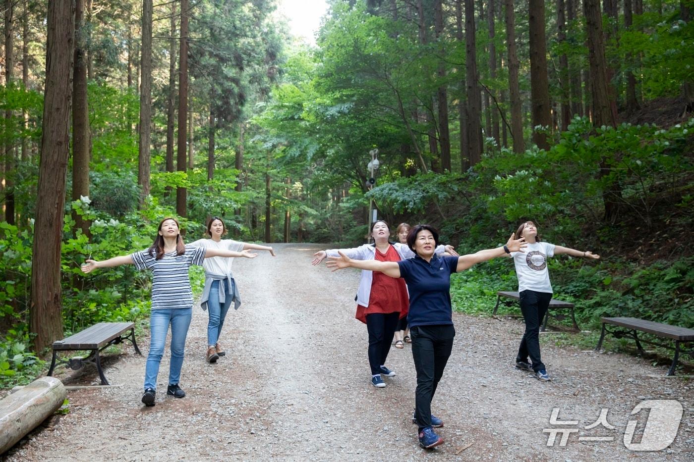 산림치유 프로그램 &#39;비움숲&#40;Forest Healing Meditation&#41;&#39; 운영 사진 &#40;산림청 한국산림복지진흥원 제공.재판매 및 DB 금지&#41;/뉴스1 