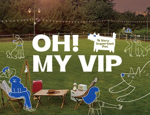 본문 이미지 - &#40;워커힐 호텔앤리조트 제공&#41;. 