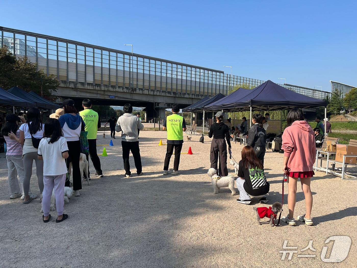 본문 이미지 - &#40;성남시 제공. 재판매 및 DB금지&#41;