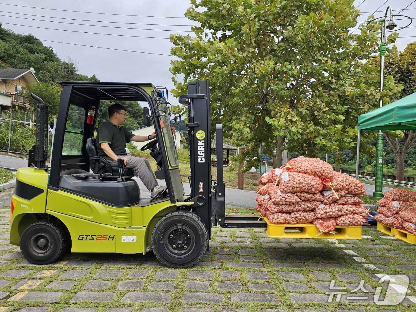 본문 이미지 - 단양군이 지역 마늘농가에 우량종구를 지원하고 있다.(단양군 제공. 재판매 및 DB금지) /뉴스1  