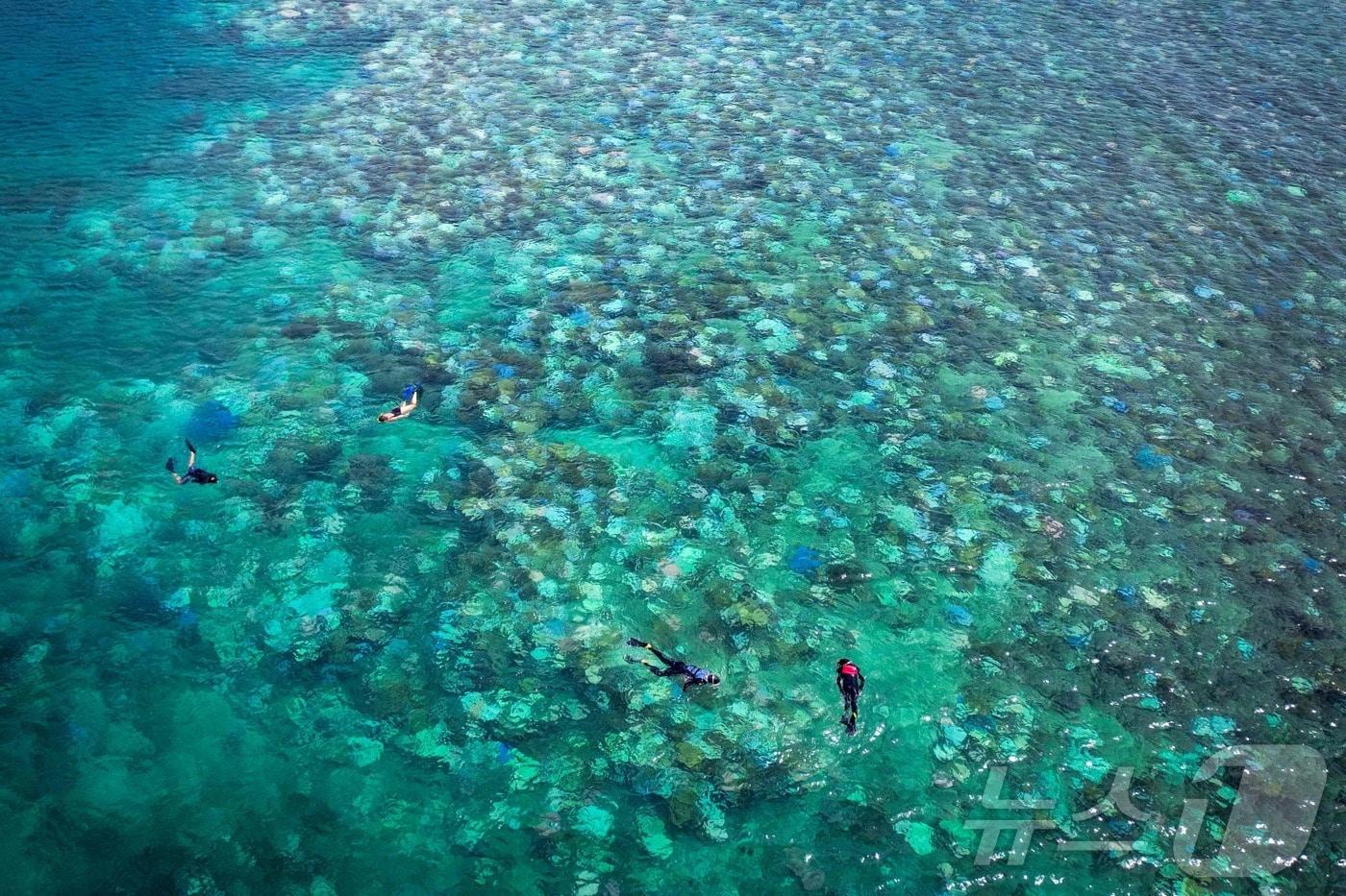 백화현상으로 폐사한 오스트레일리아 산호초 2024.04.05. ⓒ AFP=뉴스1