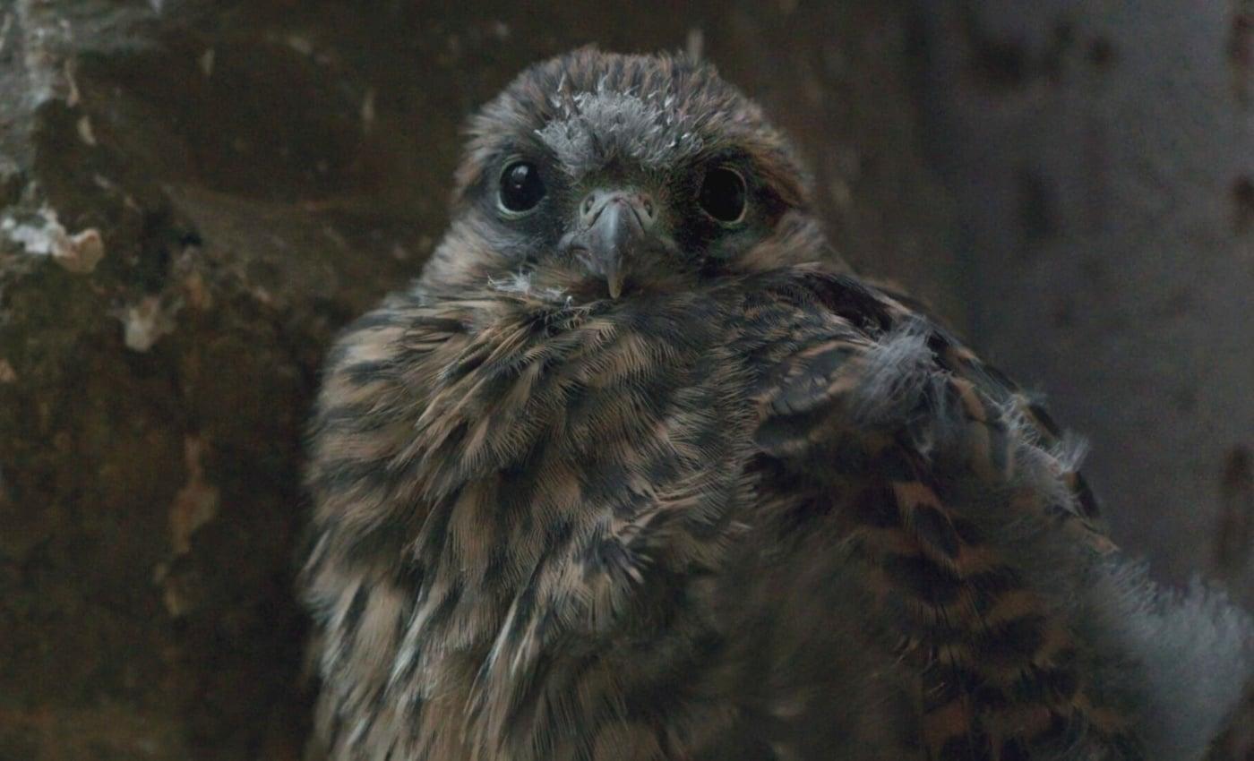 영화 코리올리 한 장면 ⓒ 뉴스1