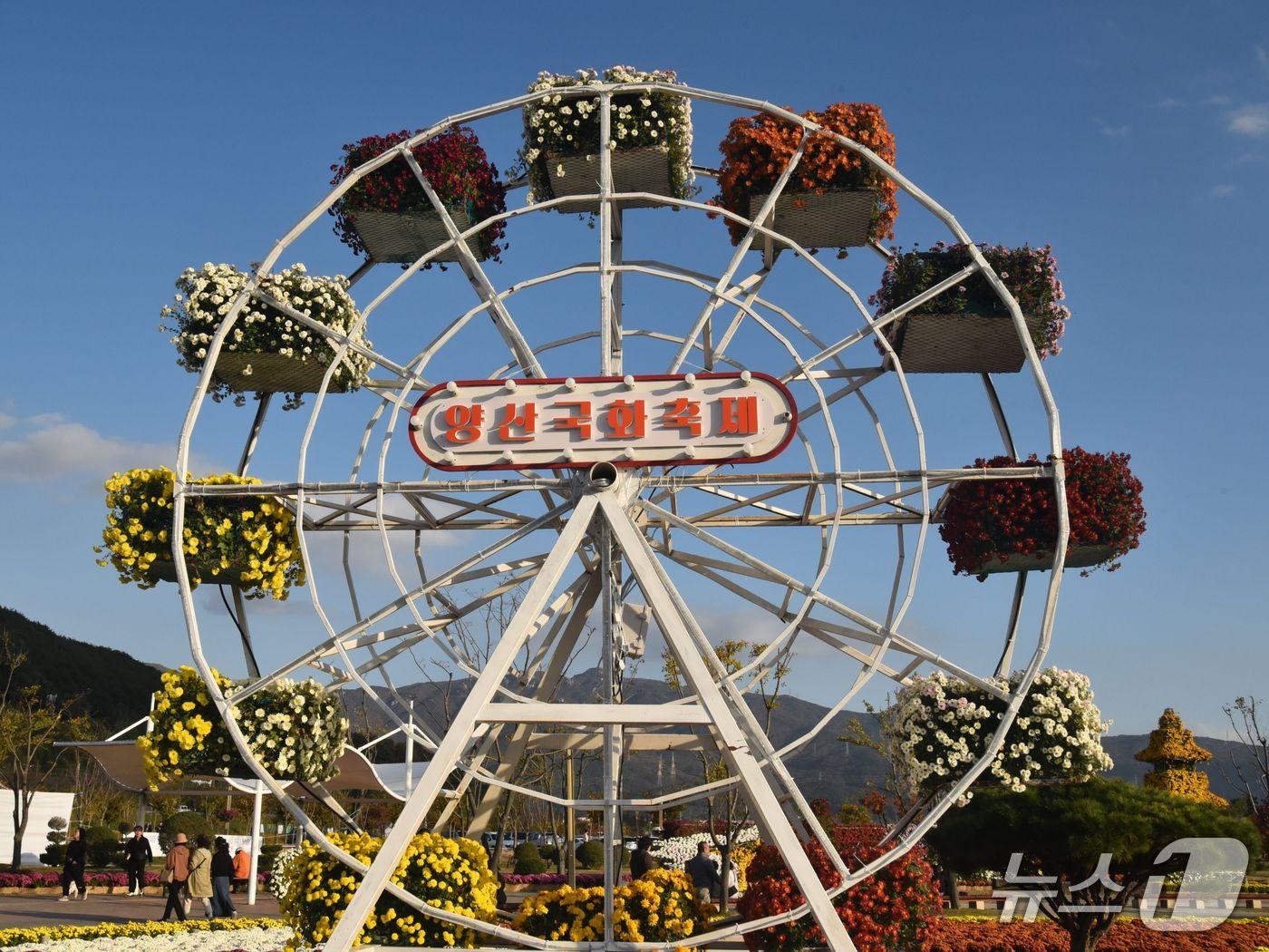 본문 이미지 - '2025 양산국화축제'가 24일 황산공원에서 개막한다.(양산시 제공. 재판매 및 DB금지)