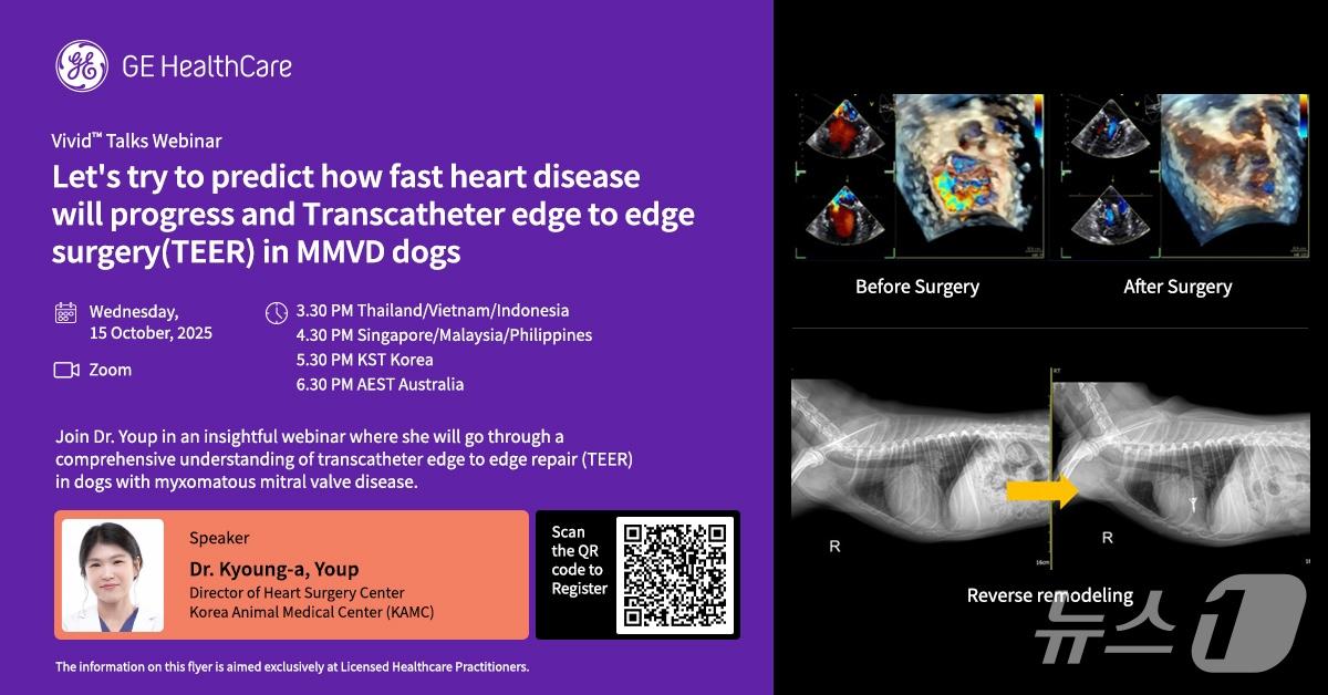 본문 이미지 - GE헬스케어 제공 ⓒ 뉴스1