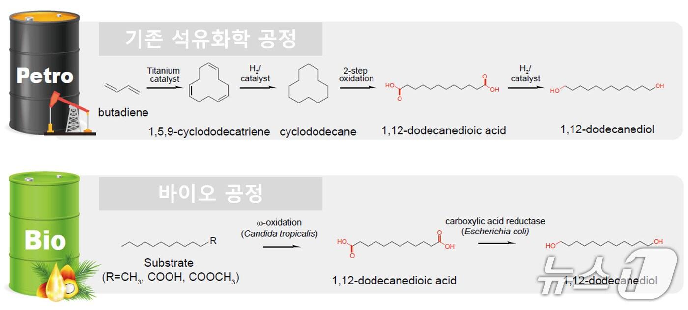 기존 석유화학 공정&#40;위&#41;과 바이오 공정을 통한 지방족 폴리에스터 원료 제조공정 비교.&#40;섬유개발연구원 제공. 재판매 및 DB 금지&#41;