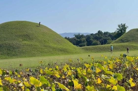 본문 이미지 - &#40;보배드림 갈무리&#41;