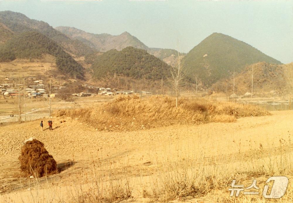 본문 이미지 - 제천 양평리유적 모습.(충북대학교 제공. 재판매 및 DB금지)/뉴스1 