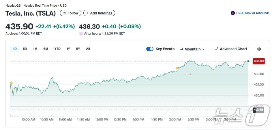 본문 이미지 - 테슬라 일일 주가추이 - 야후 파이낸스 갈무리