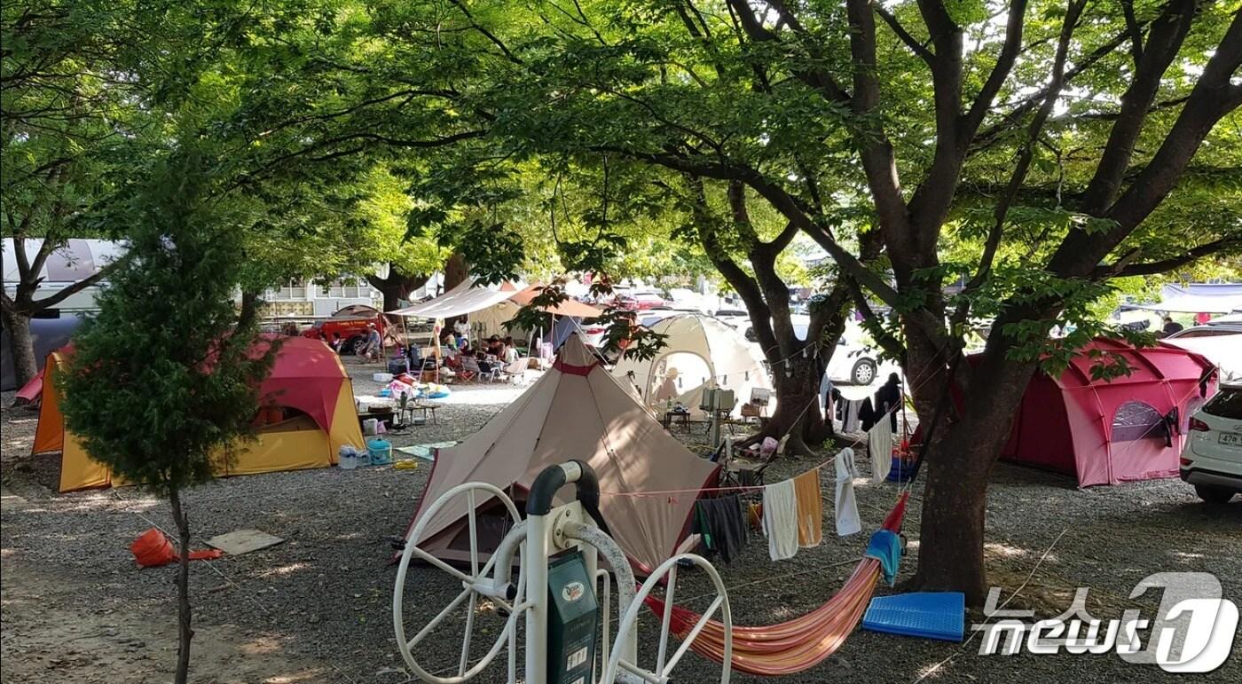 캠핑장을 찾은 피서객들이 나무 그늘 아래에 쳐 둔 텐트 안에서 더위를 피하고 있다. 사진은 기사 내용과 관련 없음./뉴스1 ⓒ News1 최창호 기자