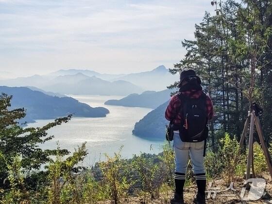 본문 이미지 - 계명산 임도에서 바라본 충주호.&#40;자료사진&#41;/뉴스1 