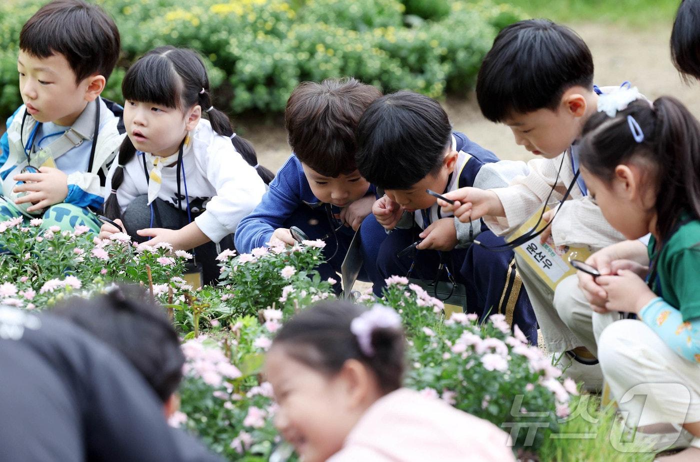 &#40;광주 북구 제공. 재판매 및 DB 금지&#41; 2025.10.14/뉴스1 ⓒ News1 박지현 기자