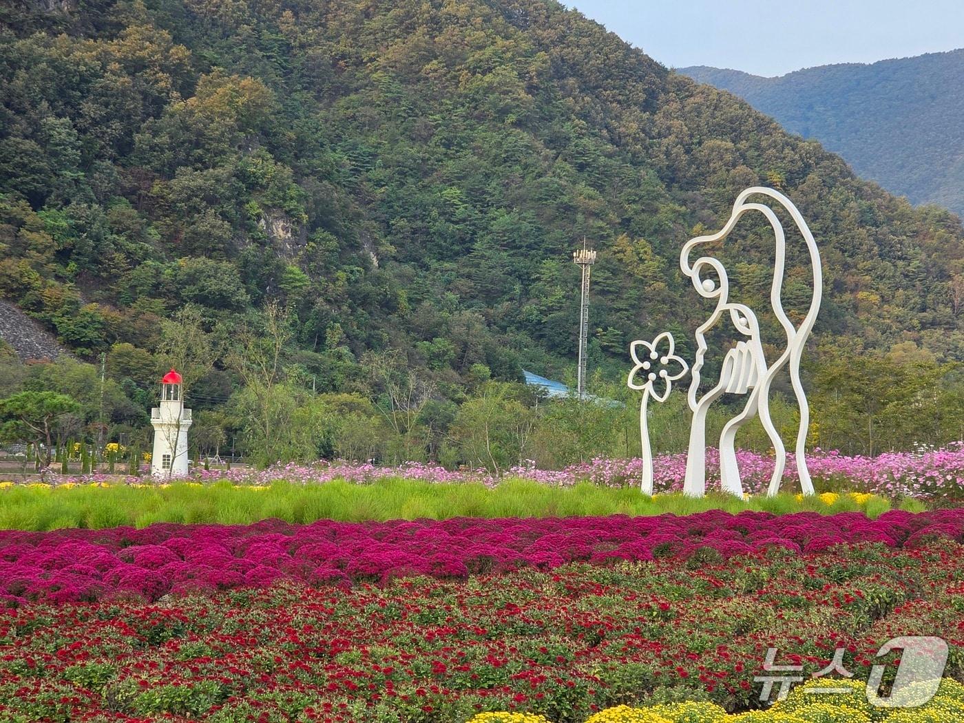 본문 이미지 - 강원 영월군의 가을꽃축제가 오는 17~31일 오전 10시~오후 5시&#40;마지막 입장 오후 4시&#41; 동서강정원인 연당원과 청령포원에서 열린다. &#40;영월군 제공. 재판매 및 DB금지&#41; 2025.10.14/뉴스1