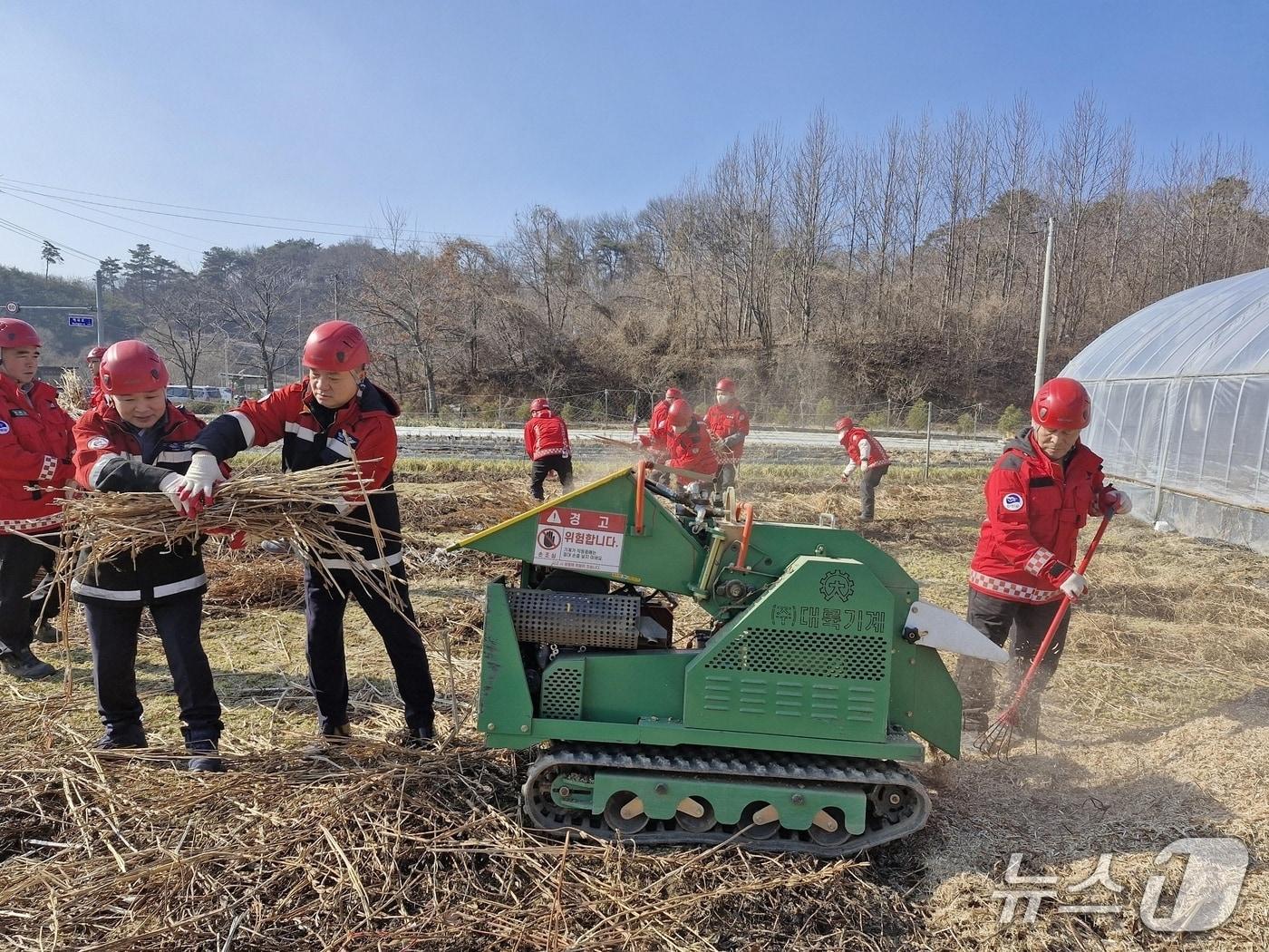 본문 이미지 - 충북 진천군이 농가의 영농부산물 파쇄 지원사업을 벌이고 있는 현장 모습.(진천군 제공, 재판매 및 DB금지)/뉴스1