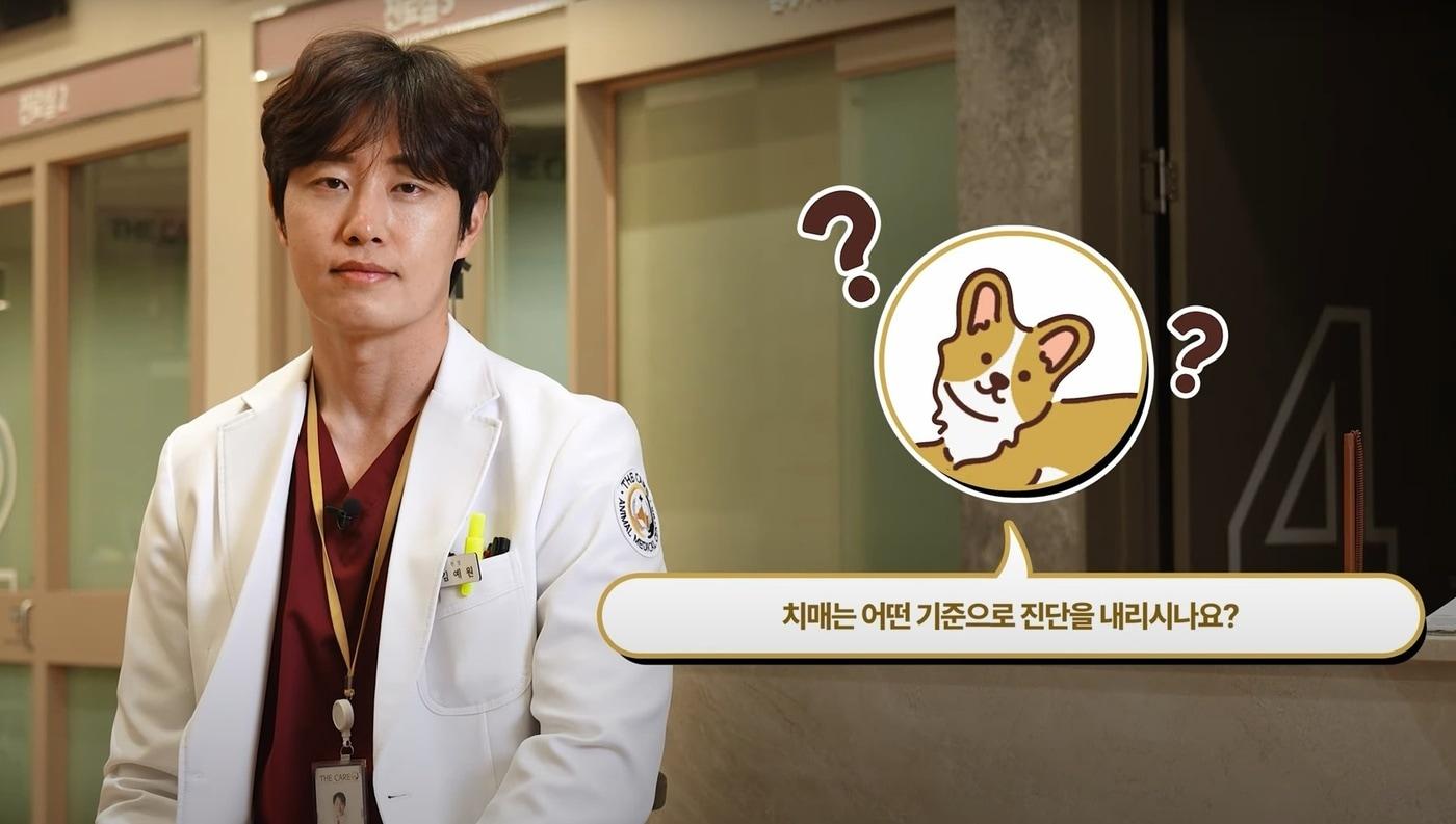 김예원 구리 24시 더케어동물의료센터 원장은 최근 유튜브 채널을 통해 반려견 치매에 관한 정보를 전했다&#40;유튜브 갈무리&#41;. ⓒ 뉴스1