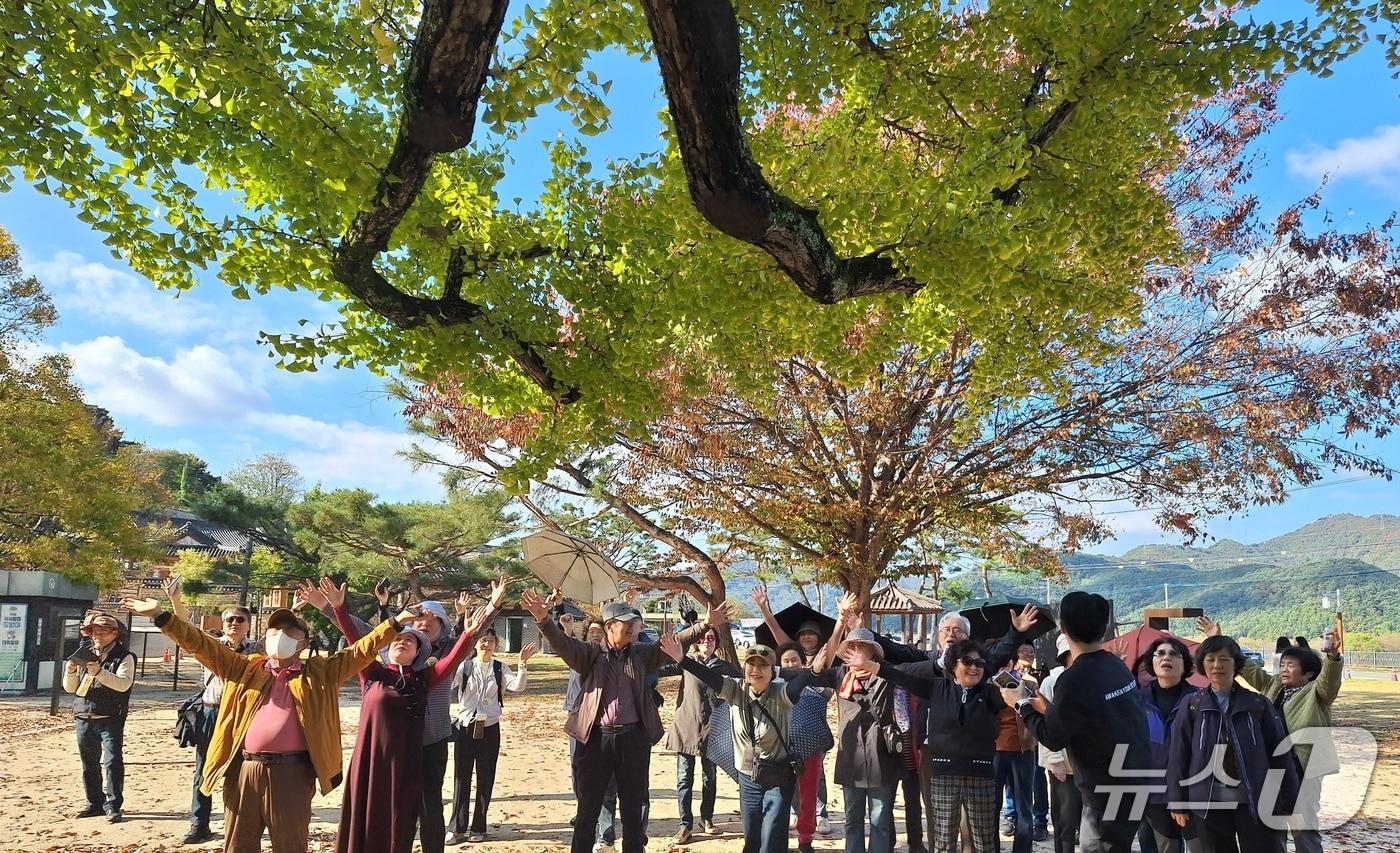 고령군이 대구 달성군, 달서구와 연계해 운영하는 시티 투어버스 프로그램 모습.&#40;고령군 제공. 재판매 및 DB금지&#41;/뉴스1