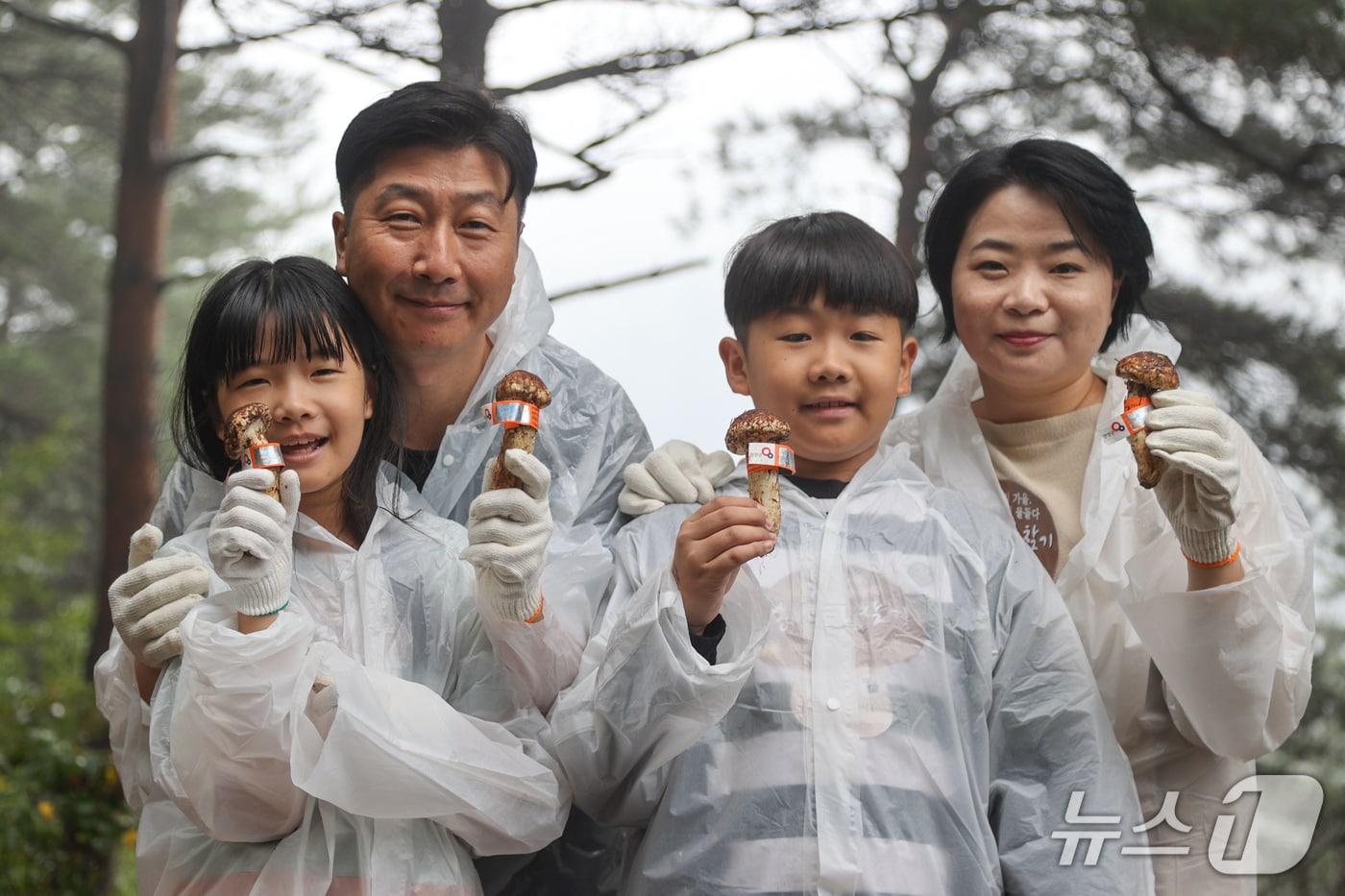 양양송이축제 대표 체험행사인 송이보물찾기.&#40;양양군 제공, 재판매 및 DB 금지&#41; 2025.10.15/뉴스1