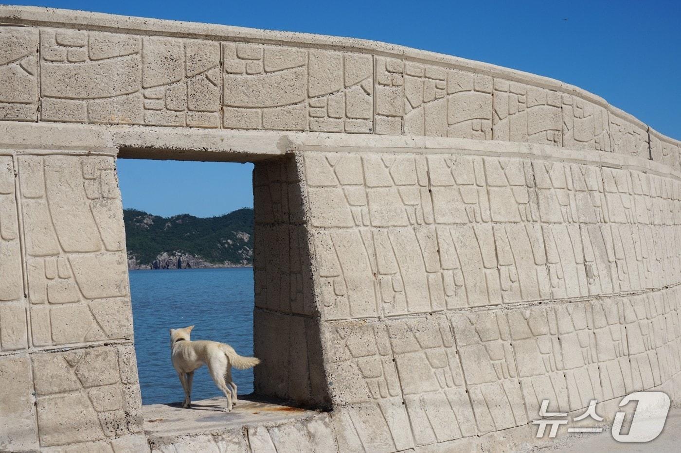 외병도 선착장의 방호벽. 섬 개도 육지가 그리운지 틈만 나면 달려와 바다 너머로 눈길을 보낸다. 2025.10.18/뉴스1 ⓒ News1 조영석 기자