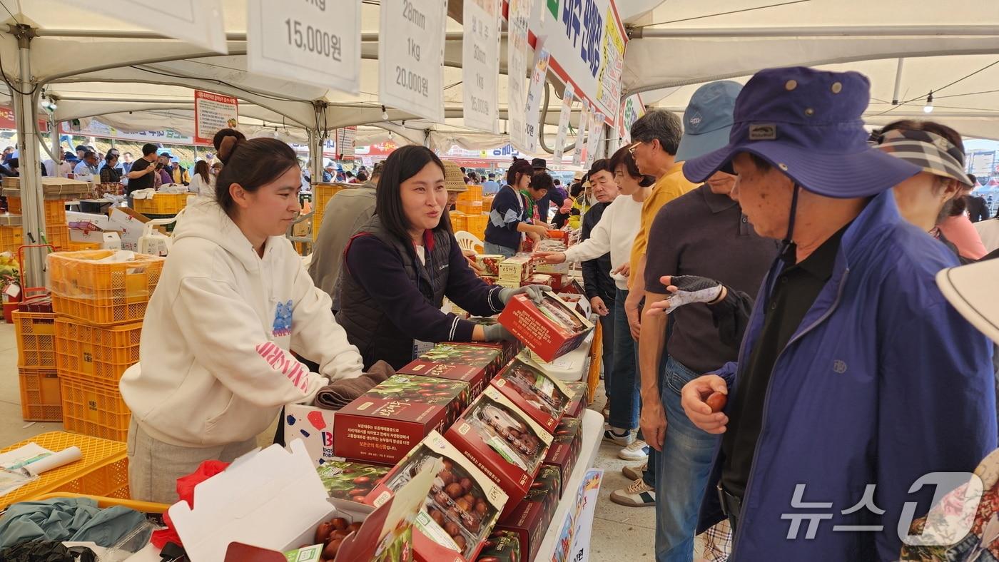 지난해 보은대추축제 대추 판매장 (보은군 제공. 재판매 및 DB금지) /뉴스1 