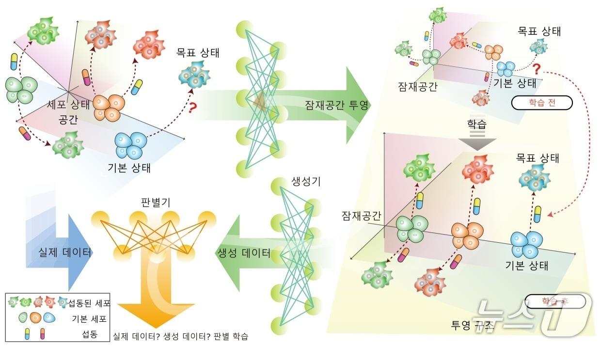 본문 이미지 - 생성형 AI를 활용한 약물 등 예측 프레임워크 모식도(KAIST 제공) /뉴스1