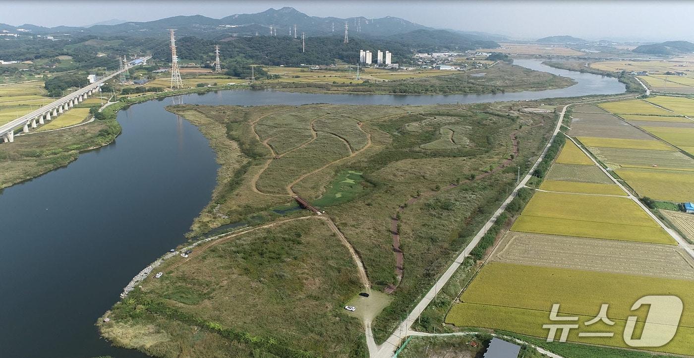 본문 이미지 - 아산시 곡교천에 물억새 군락지. (아산시청 제공. 재판매 및 DB금지)