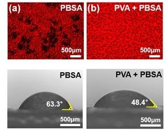 본문 이미지 - 수용성 자외선 차단제 PBSA에 친수성 고분자 PVA를 도입한 결과, 필름의 형상 균일성과 도포 특성이 향상된 것으로 나타났다.  &#40;코스메카코리아 제공&#41;